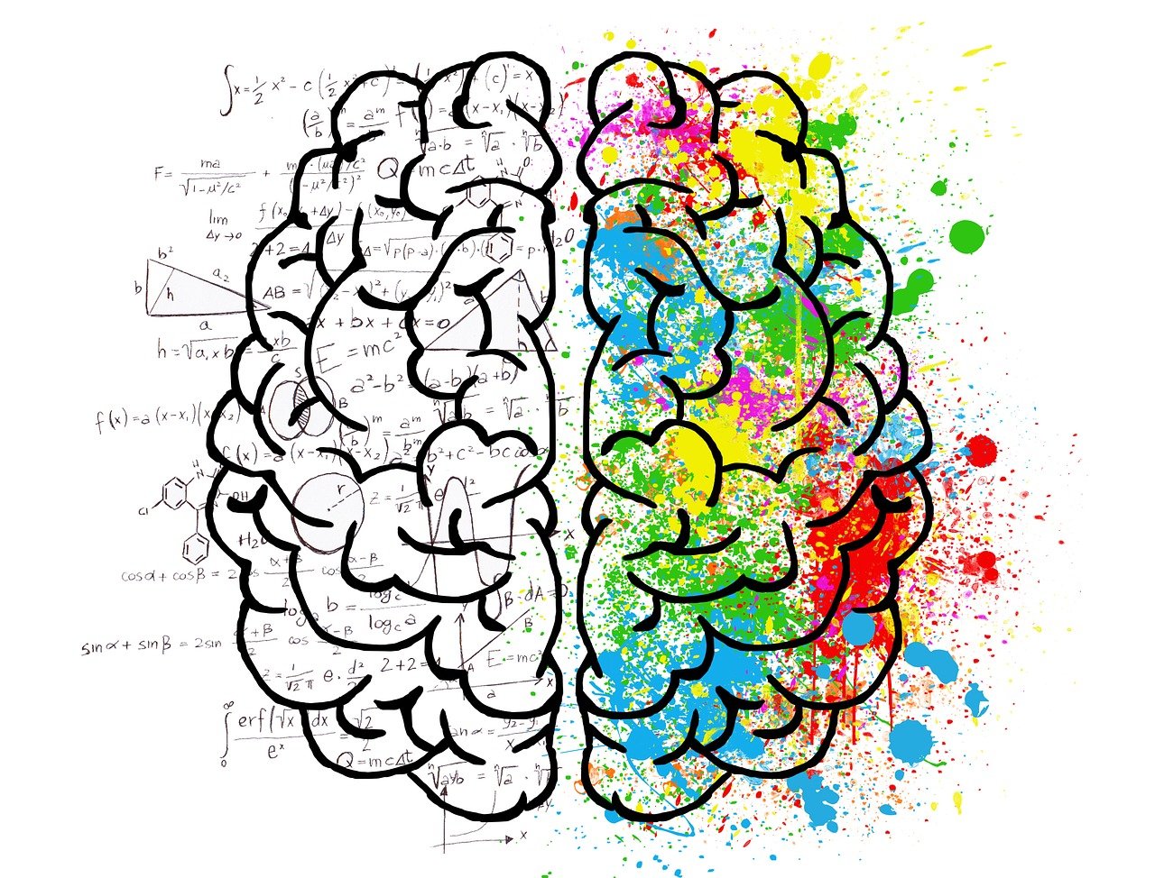 Brain and perception during exercise