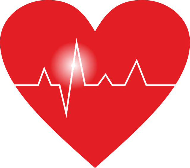 Illustration of the heart to represent heart rate and circulation