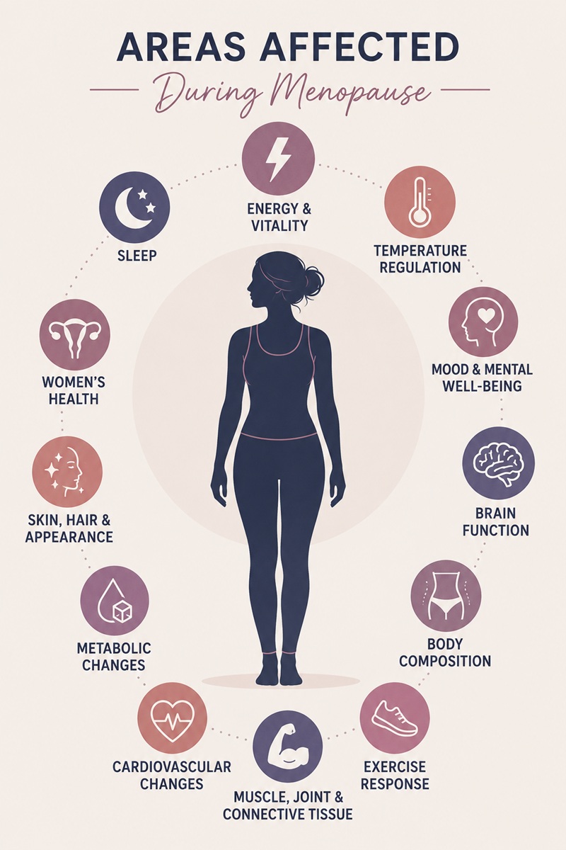 Areas commonly affected during menopause