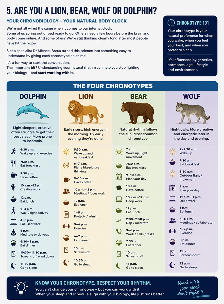 Chronobiology sleep types Lion Bear Wolf and Dolphin